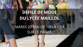 Agrandir l'image, .PNG 2,31Mo (fenêtre modale)